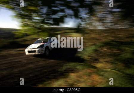 AUTO-Rallye Stockfoto