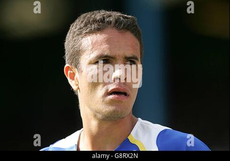 Fußball - FA Barclays Premiership - Portsmouth / Birmingham City - Fratton Park. Laurent Robert, Portsmouth Stockfoto