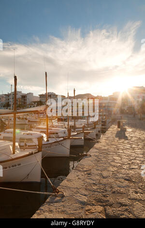 Traditionelle Fischerboote vertäut im Hafen bei Sonnenuntergang, Puerto Pollensa, Mallorca, Balearen-Spanien-Europa Stockfoto