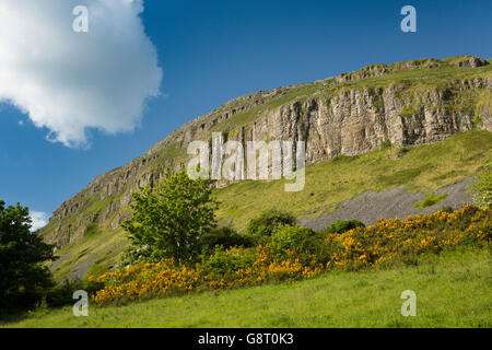 Irland, Co. Sligo, Strandhill, Böschung am westlichen Rand des Knocknarea Mountain Stockfoto