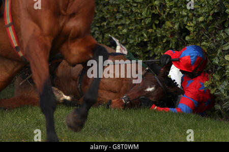 Balthazar King geritten von Jockey Richard Johnson fällt während der Glenfarcla Chase während Ladies Day des Cheltenham Festival 2016 auf der Cheltenham Rennbahn. Stockfoto