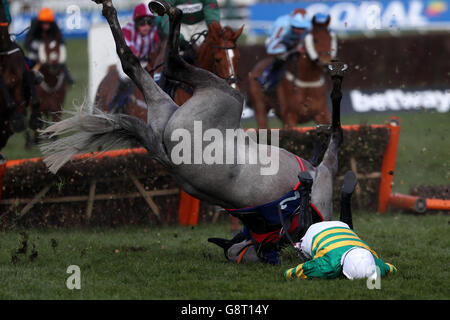 Campeador von Jockey Barry Geraghty geritten fällt in der Fred Winter Juvenile Handicap Hürde während des Ladies Day des Cheltenham Festival 2016 auf der Cheltenham Rennbahn. Stockfoto