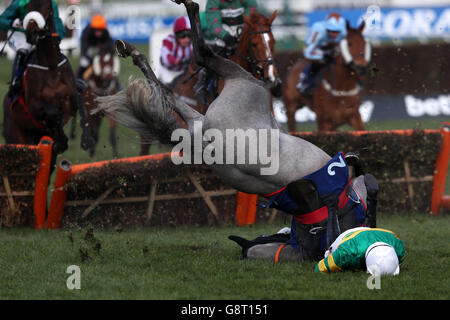 2016 Cheltenham Festival - Ladies Day - Cheltenham Racecourse Stockfoto