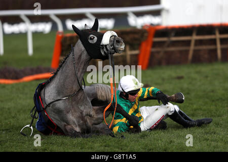 Campeador von Jockey Barry Geraghty geritten fällt in der Fred Winter Juvenile Handicap Hürde während des Ladies Day des Cheltenham Festival 2016 auf der Cheltenham Rennbahn. Stockfoto