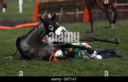 Campeador von Jockey Barry Geraghty geritten fällt in der Fred Winter Juvenile Handicap Hürde während des Ladies Day des Cheltenham Festival 2016 auf der Cheltenham Rennbahn. Stockfoto