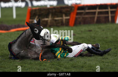 2016 Cheltenham Festival - Ladies Day - Cheltenham Racecourse Stockfoto