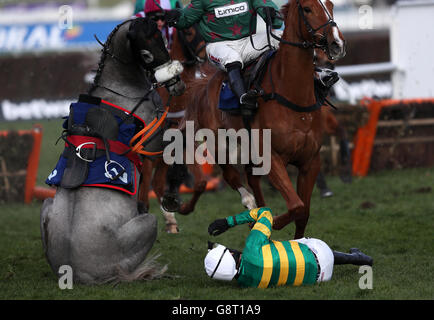 2016 Cheltenham Festival - Ladies Day - Cheltenham Racecourse Stockfoto