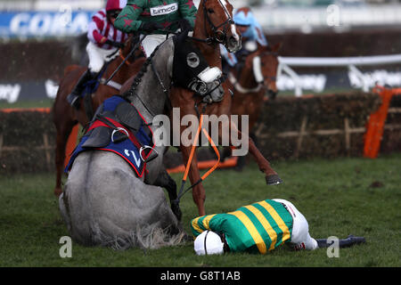 2016 Cheltenham Festival - Ladies Day - Cheltenham Racecourse Stockfoto