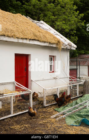 Irland, Co. Sligo, Riverstown, Sligo Folk Park, traditionelle Hütte wird neu gedeckt Stockfoto