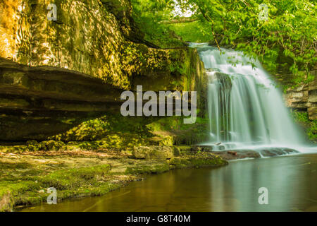 Kessel ist ein Wasserfall auf Walden Beck nahe dem Dorf West Burton Stockfoto