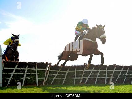 Coney Island, geritten von Barry Geraghty (rechts), löscht die letzte vor dem Gewinn des I.N.H. Hengstbesitzer E.B.F. Finale der „Novice Handicap Hurdle Series“ am dritten Tag des Osterfestivals auf der Fairyhouse Racecourse, Co. Meath, Irland. DRÜCKEN SIE VERBANDSFOTO. Bilddatum: Dienstag, 29. März 2016. Siehe PA Story RACING Fairyhouse. Bildnachweis sollte lauten: PA Wire Stockfoto