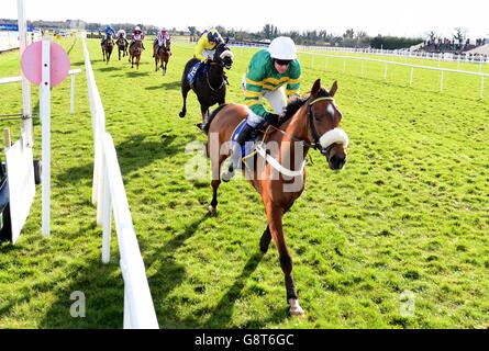 Coney Island von Barry Geraghty vor dem Gewinn der I.N.H. geritten Hengstbesitzer E.B.F. Novice Handicap Hurdle Series Finale am dritten Tag des Osterfestivals auf der Fairyhouse Racecourse, Co. Meath, Irland. Stockfoto