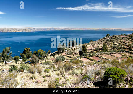 Alten landwirtschaftlichen Terrassen und See, Halbinsel Capachica, Titicaca-See, Puno, Peru Stockfoto