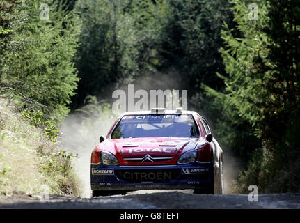 Der Franzose Sebastien Loeb in seinem Fahrzeug, der am Freitag, 16. September 2005, in Brechfa, Wales, während der Trawscoed-Etappe der Wales Rally GB stattfand. DRÜCKEN SIE VERBANDSFOTO. Bildnachweis sollte lauten: David Davies/PA. Stockfoto