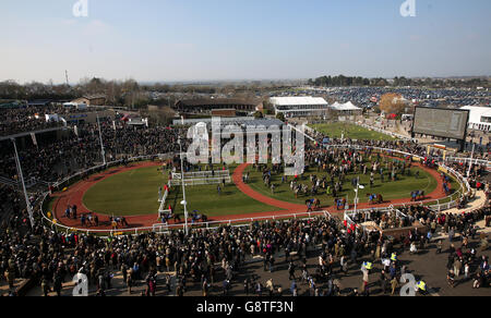 2016 Cheltenham Festival - St. Patrick's Thursday - Cheltenham Racecourse. Ein allgemeiner Blick auf den Paradering während des St. Patrick's Thursday beim Cheltenham Festival 2016 auf der Cheltenham Racecourse. Stockfoto