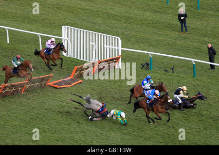 2016 Cheltenham Festival - Ladies Day - Cheltenham Racecourse Stockfoto