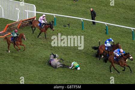 2016 Cheltenham Festival - Ladies Day - Cheltenham Racecourse Stockfoto