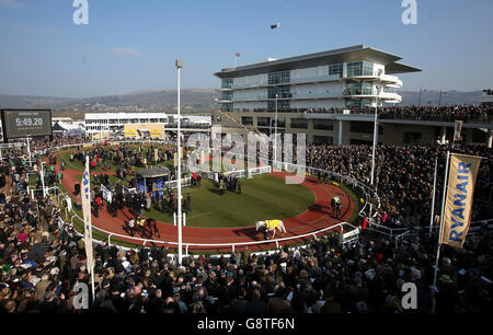 2016 Cheltenham Festival - St. Patrick's Thursday - Cheltenham Racecourse. Ein allgemeiner Blick auf den Paradering während des St. Patrick's Thursday beim Cheltenham Festival 2016 auf der Cheltenham Racecourse. Stockfoto