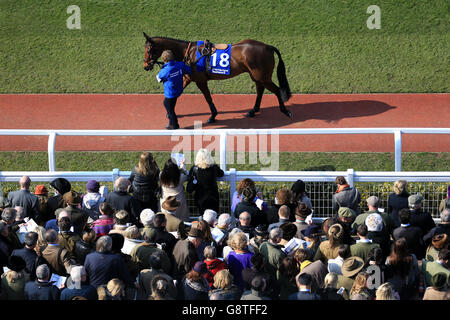 2016 Cheltenham Festival - St. Patrick's Thursday - Cheltenham Racecourse. Während des St. Patrick's Thursday beim Cheltenham Festival 2016 auf der Pferderennbahn Cheltenham laufen Pferde an der Menge vorbei. Stockfoto