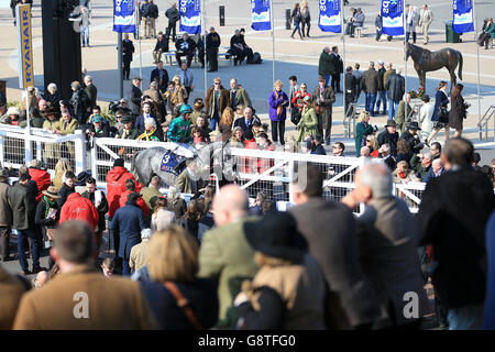 2016 Cheltenham Festival - St. Patrick's Thursday - Cheltenham Racecourse. Ein allgemeiner Blick auf den prade Ring während des St. Patrick's Thursday beim Cheltenham Festival 2016 auf der Cheltenham Racecourse. Stockfoto