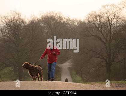 Ein frühmorgendlicher Hundespaziergänger auf Parliament Hill, Hampstead Heath, London, da Großbritannien sich am Sonntag am heißesten Tag des Jahres sonnen könnte, da die Temperaturen bis zu 19 Grad Celsius ansteigen. Stockfoto