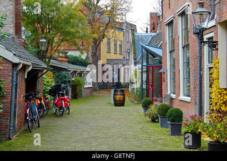 Herbst Dekoration einer Straße in Haarlem-Niederlande Stockfoto