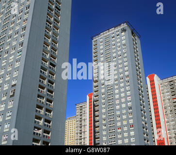 Hochhäuser auf dem Red Road in Glasgow. Stockfoto