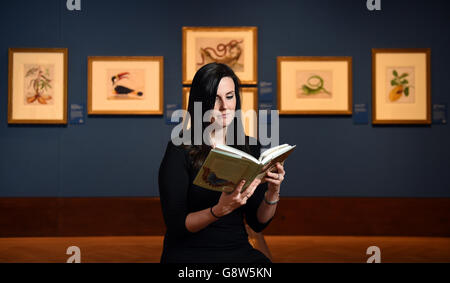 Stephanie Cliffe, Mitarbeiterin des Royal Collections Trust, studiert während eines Fotoaufrufs zur bevorstehenden Ausstellung Maria Merian's Butterflies in der Queen's Gallery in London einen Katalog. Stockfoto