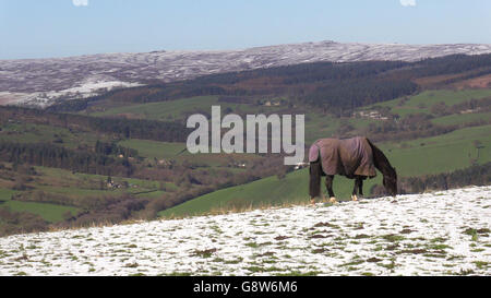 Verschneite Hügel über High Bradfield, in der Nähe von Sheffield als ein kalter Snap brachte ein plötzliches Ende des warmen Frühlings Wetter als Teile des Vereinigten Königreichs zu Schnee erwachte. Stockfoto