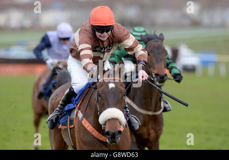 Ayr Rennen - Korallen schottische Grand National - Ladies Day Stockfoto