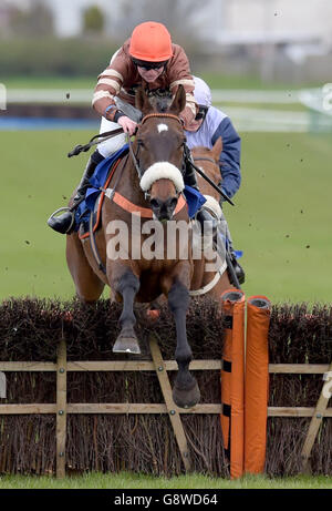 Gully's Edge von Jamie Hamilton auf seinem Weg zum Gewinn des Abbott Risk Consulting Novices' Handicap Hurdle Race während des Ladies Day of the Coral Scottish Grand National Festival auf der Ayr Racecourse. Stockfoto