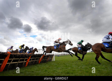 Ayr Rennen - Korallen schottische Grand National - Ladies Day Stockfoto