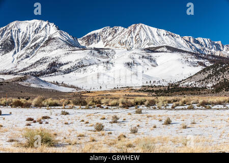 östliche Sierra Mountains Kalifornien Stockfoto