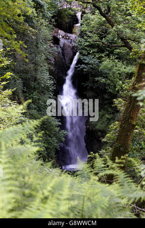 Aira Kraft, einen Wasserfall im englischen Lake District, in der Pfarrei Matterdale, Grafschaft Cumbria, UK Stockfoto