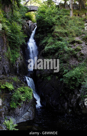 Aira Kraft, einen Wasserfall im englischen Lake District, in der Pfarrei Matterdale, Grafschaft Cumbria, UK Stockfoto