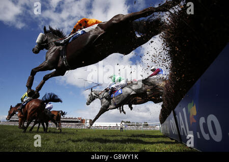 Läufer und Reiter der Weatherbys Private Bank Novices' Limited Handicap Steeple Chase (Klasse 2) während des Scottish Grand National Day beim Coral Scottish Grand National Festival auf der Ayr Racecourse. Stockfoto