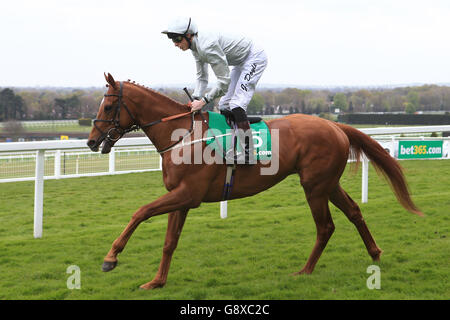 Bet365 Agb Bet365 Agb