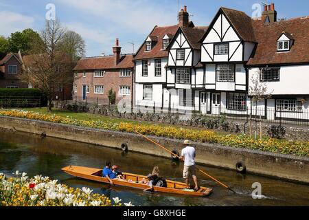 Die Menschen punzen gerne durch die Westgate Gardens am Great Stour River in Canterbury, Kent, während das vorhergesagte warme Wetter anhält. Stockfoto