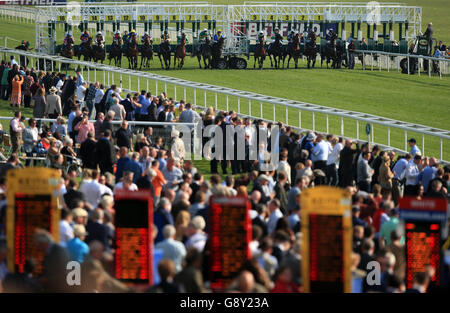 Pferde verlassen die Stände im Racing UK Jetzt in HD Handicap am zweiten Tag des Dante Festivals auf der York Racecourse. Stockfoto