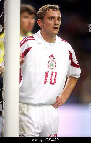 Fußball - FIFA Fußball-Weltmeisterschaft 2006 Qualifikation - Gruppe drei - Portugal gegen Lettland - Dragao Stadium. Andrejs Rubins, Lettland Stockfoto