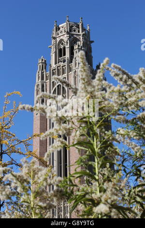 Der Glockenturm der Saieh Hall auf dem Campus der University of Chicago in Chicago, IL, USA Stockfoto