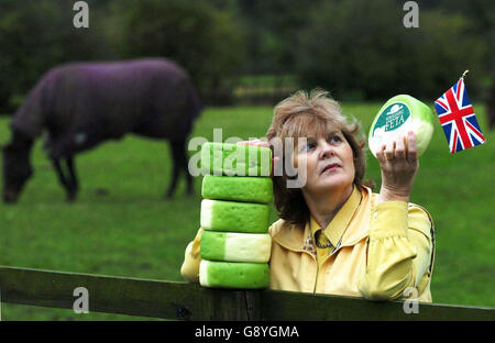 RECHTLICHE Feta Stockfoto