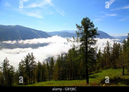 29. Juni 2016 - Aletai, Aletai, CHN - Aletai, China - 29. Juni 2016: (Nur zur redaktionellen Verwendung. CHINA aus) Wolkenmeer zeigt oft an Kanas-See. Es ist ein See in Altay Präfektur, Xinjiang, China. Der See liegt in einem Tal im Altai-Gebirge nahe der Nordspitze von Xinjiang und der Provinz grenzt an Kasachstan, der Mongolei und Russland. Der See entstand im Quartär durch die Bewegung der Gletscher vor rund 200.000 Jahren. Der Halbmond geformte See hat eine geschätzte Wasserspeicherkapazität von 53,8 Milliarden Kubikmetern, gepaart mit einer durchschnittlichen Tiefe von rund Stockfoto