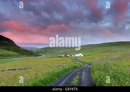 Widdybank Farm, obere Teesdale, County Durham UK. Donnerstag, 30. Juni 2016.  Großbritannien Wetter. Es war kühl, aber hell Start in den Tag in den North Pennines.  Die Prognose ist für täglich meist trocken mit sonnigen Abschnitten, aber am Abend, die Ausbrüche von Regen Osten verbreiten sollen. Bildnachweis: David Forster/Alamy Live-Nachrichten Stockfoto