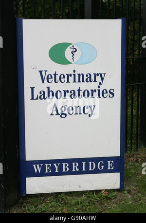 Das Schild vor dem Sitz der Veterinärlabor-Agentur des Department for Environment, Food and Rural Affairs (Defra) in Addlestone, Surrey, Dienstag, 8. November 2005. Das Risiko, dass die Vogelgrippe nach Großbritannien kommt, ist „niedrig, aber erhöht“, sagte Defra heute. Dies ist auf die globale Ausbreitung des H5N1-Virus zurückzuführen, das den Pool infizierter Vögel vergrößert, so eine aktualisierte Risikobewertung, die heute veröffentlicht wurde. Zugvögel, der Handel mit lebenden Vögeln und die Bewegung von Menschen werden als drei mögliche "Wege" genannt, durch die die Vogelgrippe möglicherweise in das Vereinigte Königreich gelangen könnte. Siehe PA Geschichte FARM BirdFlu. DRÜCKEN SIE ZUORDNUNG Stockfoto