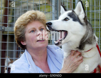 Hundezüchterin Jenny Manley mit einer ihrer 24 sibirischen Huskies, bei ihr zu Hause in Hythe bei Southampton, Dienstag, 1. November 2005, an dem Tag, an dem sie mit einer zweiten Lärmreduzierung versorgt wurde. Frau Manley, die Eigentümer der Howling Dog Zwinger in Hythe ist, wurde vom New Forest District Council die Nachricht zugestellt, nachdem sich die ehemaligen Besitzer des Four Seasons Hotel nebenan, Louise und Michael White, beschwert hatten. Die Tests zeigten, dass das Heulen der Hunde 60 Dezibel in Herrn White's Schlafzimmer registrierte. Siehe PA Geschichte TIERE Huskies. DRÜCKEN Sie VERBANDSFOTO. Bildnachweis sollte lauten: Chris Ison/PA. Stockfoto