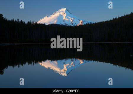 Mt. Hood mit Reflexion von Frog Lake, Mt Hood National Forest, Oregon Stockfoto