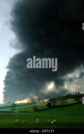 Schafe weiden auf einem Feld in der Nähe von Leverstock Green, während der Rauch vom Buncefield Oil Depot in der Nähe von Hemel Hempstead weiter aufflammt, wo Anfang Sonntag, dem 11. Dezember 2005, eine Reihe massiver Explosionen stattfand. Vier Menschen wurden schwer verletzt, als massive Explosionen durch das Ölterminal rissen. Die Kraft der Blasten war bis zu 40 Meilen entfernt zu hören, als Flammen mehr als 200 Meter in den Himmel schossen. Siehe PA Story EXPLOSION. DRÜCKEN SIE VERBANDSFOTO. Foto sollte lauten: Chris Radburn/PA Stockfoto