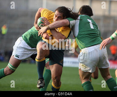 Die Irlands Marcus Horan und Denis Leamy bekämpfen den australischen George Smith (C) während des Internationalen Spiels in der Lansdowne Road, Dublin, Samstag, 19. November 2005. DRÜCKEN SIE VERBANDSFOTO. Das Foto sollte lauten: Julien Behal/PA. Stockfoto