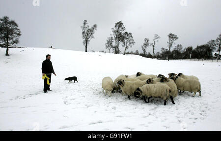 Der Bauer Neil Ross von der Leault Farm in den Highlands füttert am Freitag, dem 25. November 2005, seine schwarzen Schafe, als über Nacht Schnee fiel. Teile von Schottland, England und Wales waren heute auf mehr Störungen vorbereitet, da die Winterschauer anhielten. Gestern nach dem ersten starken Schneefall im Winter wurden Straßen gesperrt und Schulkinder nach Hause in den Norden Schottlands geschickt. Siehe PA Story WETTER Schnee. DRÜCKEN SIE VERBANDSFOTO. Das Foto sollte lauten: Andrew Milligan/PA Stockfoto